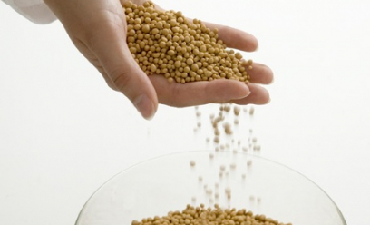 Un exemple de type de tamis moléculaire on peut le retrouver sous différentes formes et taille. Ici une taille assez grosses en formes de "billes".