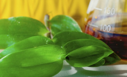 Engagés dans les matériaux de spécialités et grâce nos savoir-faire technologiques, nous accompagnons les changements de notre monde.